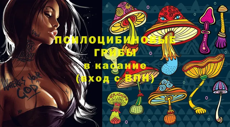 Галлюциногенные грибы Magic Shrooms  Лабинск 